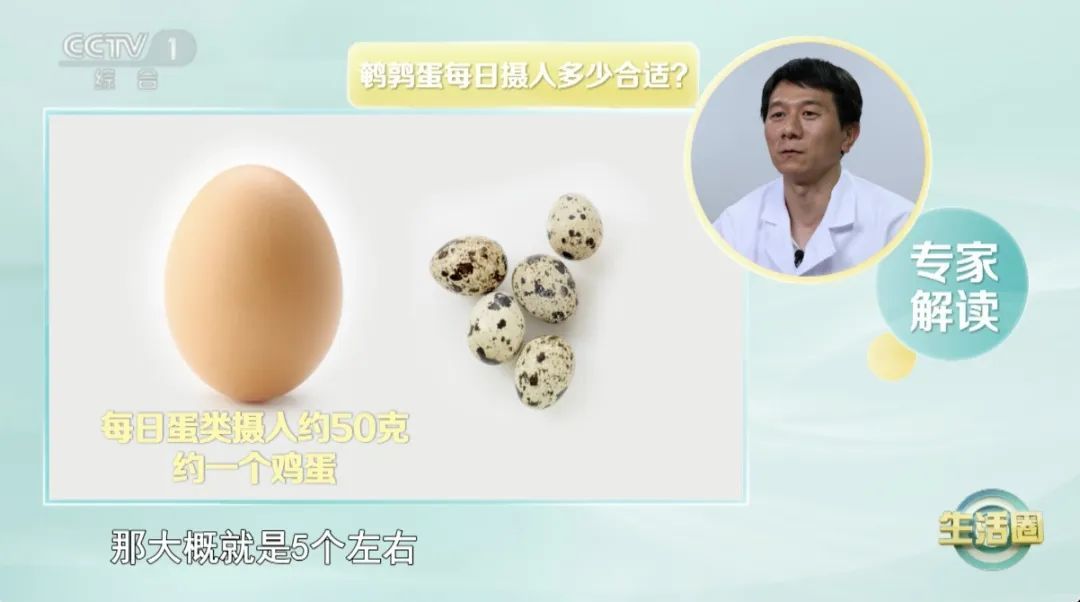 被称为“动物人参”的它,比鸡蛋更营养吗?一口一个,让你体质更强、记性更好~ 被称为“动物人参”的它,比鸡蛋更营养吗?一口一个,让你体质更强、记性更好~