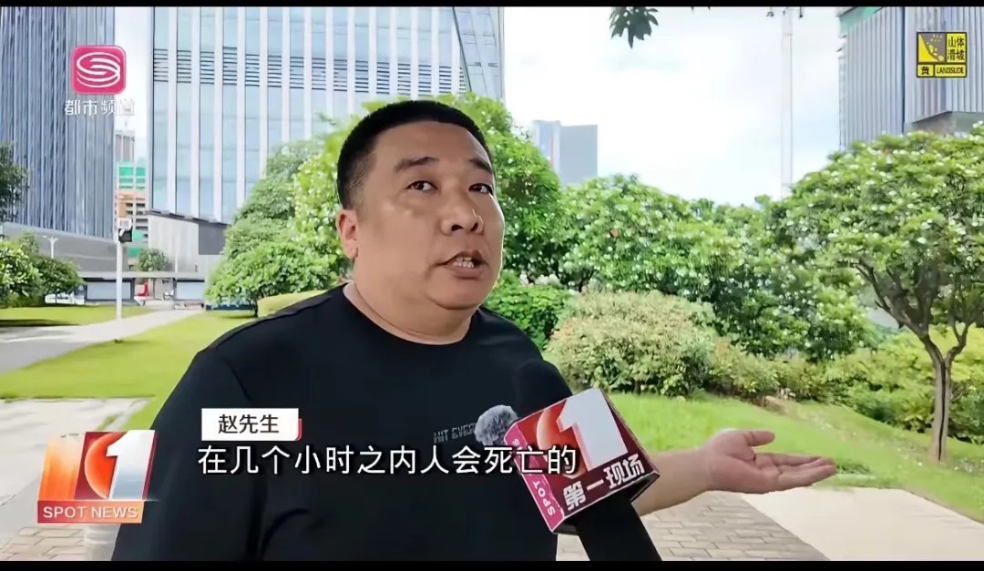 这种“芒果”有毒，为什么还要种？