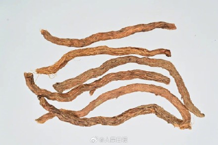 大学校长送毕业生四味中药：千年健 路路通 石见穿 沉香