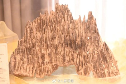 大学校长送毕业生四味中药：千年健 路路通 石见穿 沉香