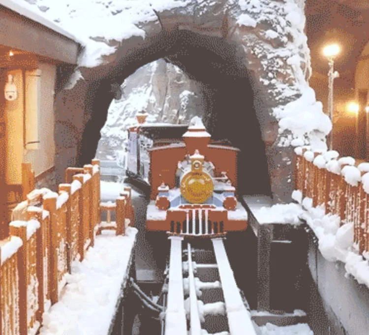 上海这里积雪已深！门票420元起？官方回应了
