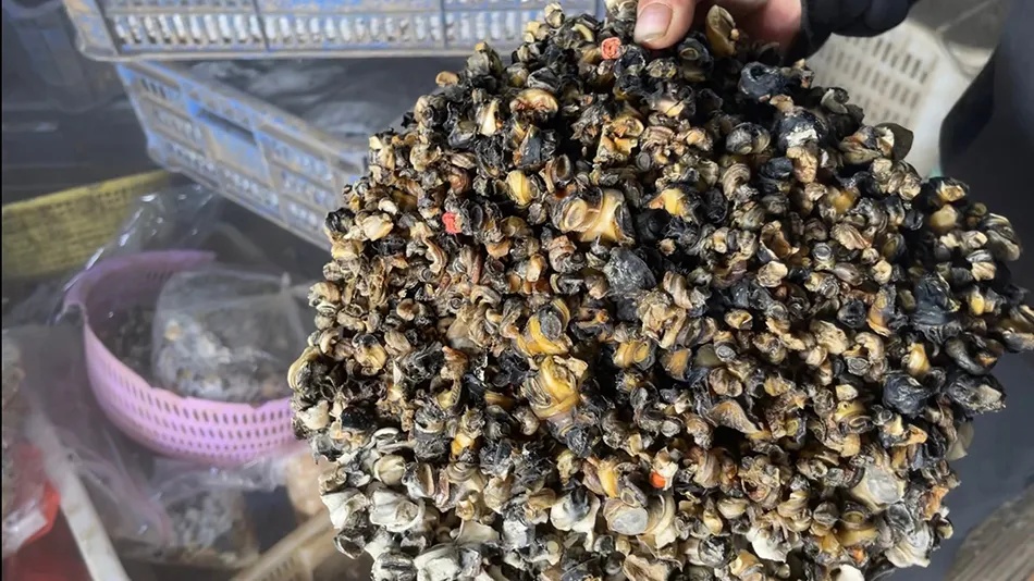 寄生虫多达6000条，千万别乱吃！