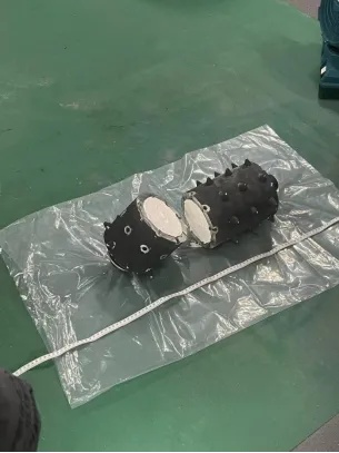 在校大学生被判刑!警方披露详情 在校大学生被判刑!警方披露详情