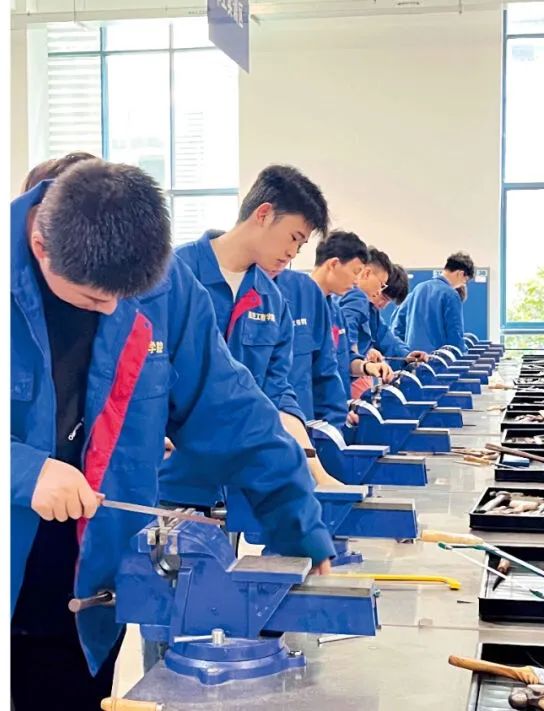 家长们不用焦虑普职分流了？职业本科了解一下