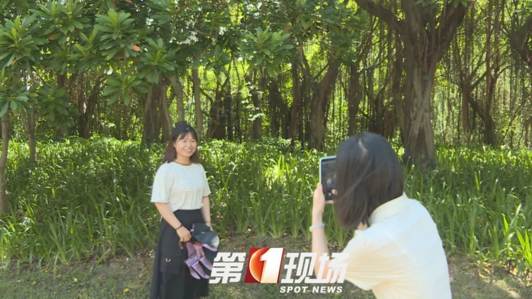 这种“芒果”有毒，为什么还要种？