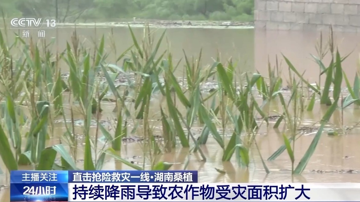 储备秧苗、转移群众……赶赴救灾一线他们在行动