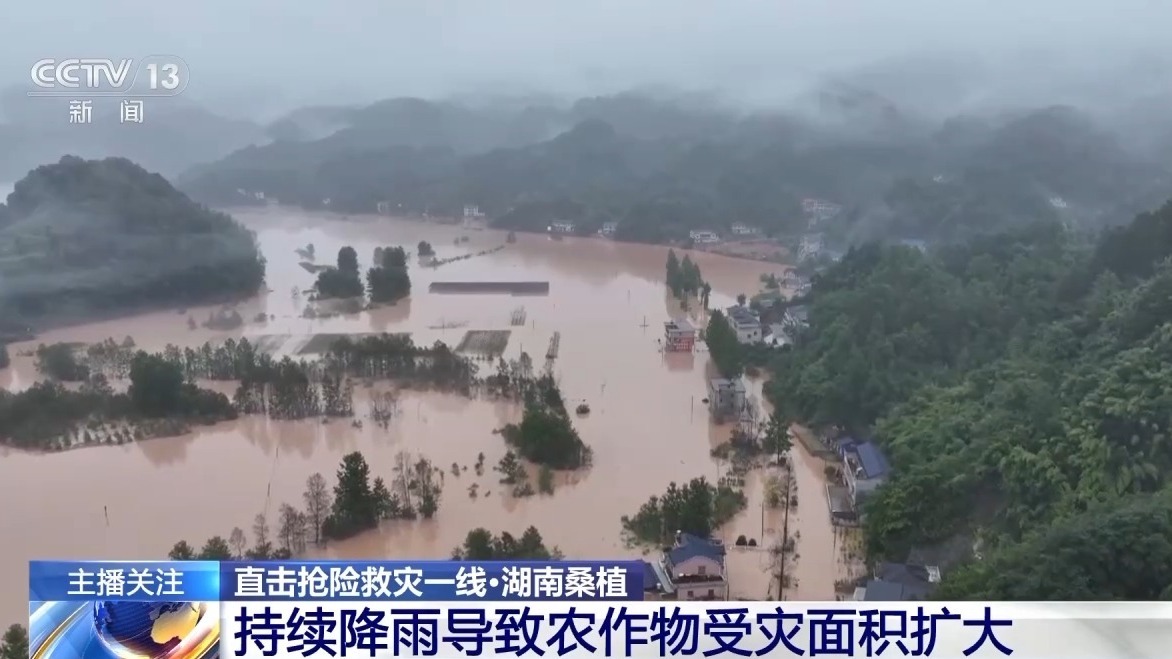 储备秧苗、转移群众……赶赴救灾一线他们在行动