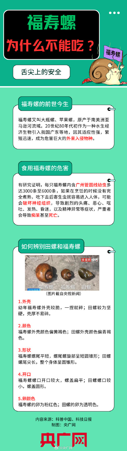 福寿螺为什么不能吃?一图读懂 福寿螺为什么不能吃?一图读懂