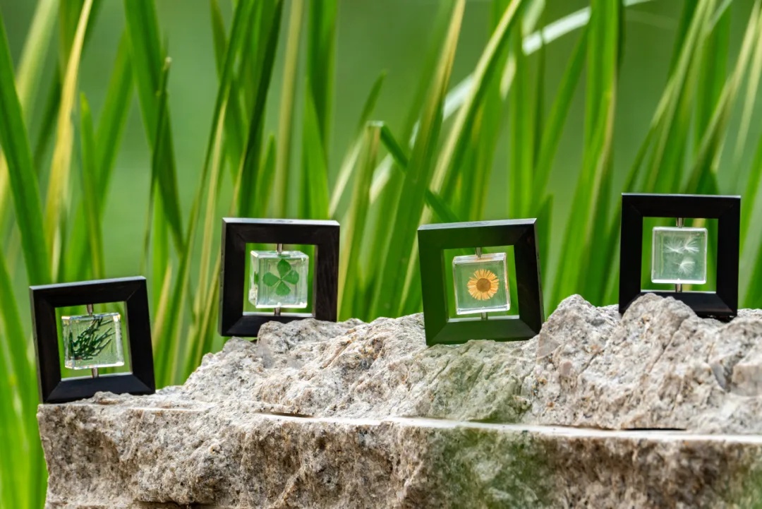 大开眼界！毕业都开始送这个了？