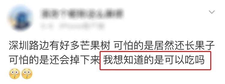 这种“芒果”有毒，为什么还要种？