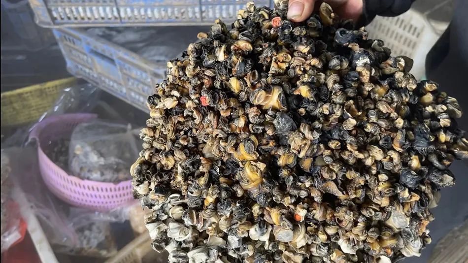 疾控呼吁不能吃的，却被“伪装”送上餐桌，当地通报