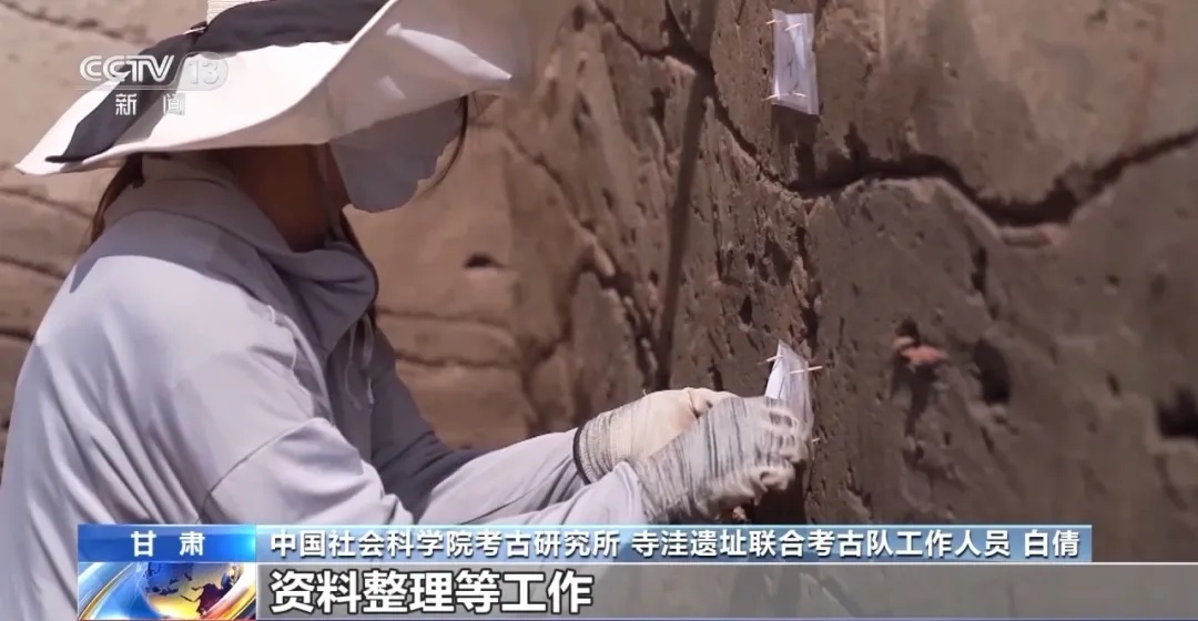 入学即就业，还带编制？这个冷门专业火了！