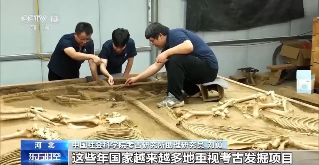 入学即就业，还带编制？这个冷门专业火了！