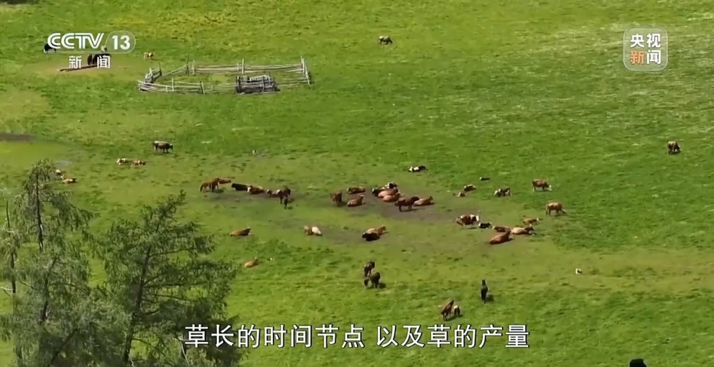 阿勒泰延续千年的夏季转场 如今有了什么新变化？