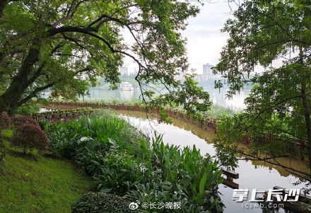 年嘉湖水位上涨拉起警戒线,市民不要靠近临水区域 年嘉湖水位上涨拉起警戒线,市民不要靠近临水区域