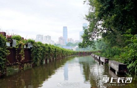 年嘉湖水位上涨拉起警戒线,市民不要靠近临水区域 年嘉湖水位上涨拉起警戒线,市民不要靠近临水区域