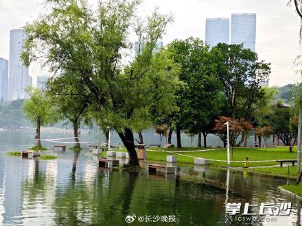 年嘉湖水位上涨拉起警戒线,市民不要靠近临水区域 年嘉湖水位上涨拉起警戒线,市民不要靠近临水区域