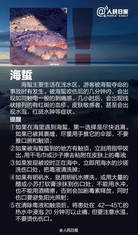 海边遇到，千万别碰！严重可致命！