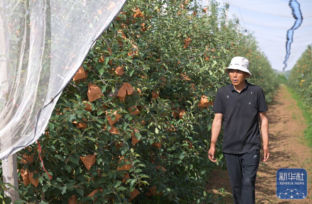 高质量发展调研行｜陕北：持续推进水土生态有效管护