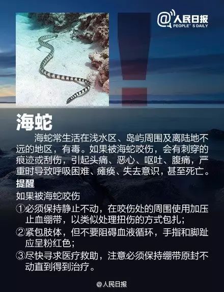 海边遇到，千万别碰！严重可致命！