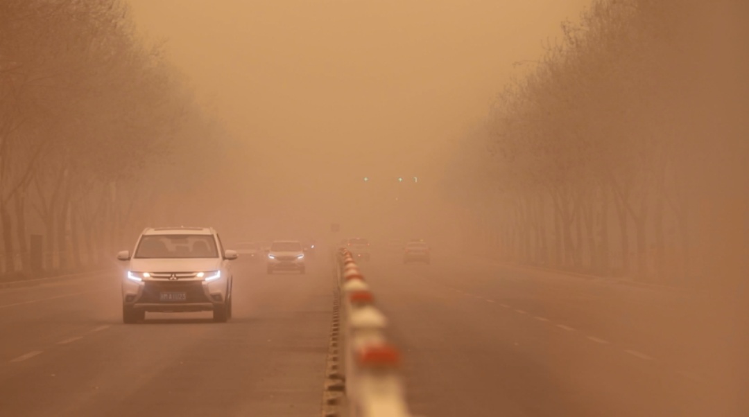 24年,15个年轻人,大风都刮不走他们 24年,15个年轻人,大风都刮不走他们