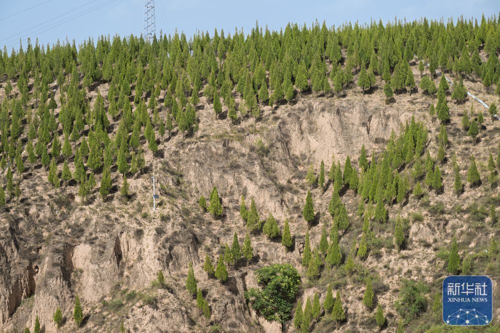 高质量发展调研行｜陕北：持续推进水土生态有效管护