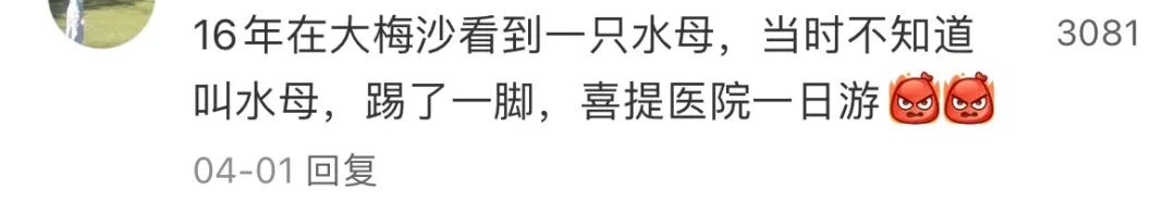 海边遇到，千万别碰！严重可致命！