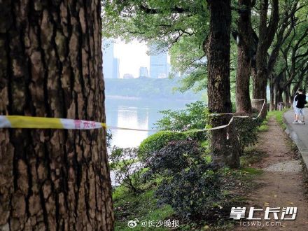 年嘉湖水位上涨拉起警戒线,市民不要靠近临水区域 年嘉湖水位上涨拉起警戒线,市民不要靠近临水区域