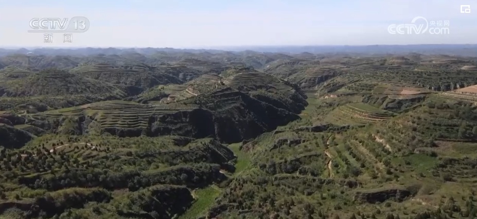 “拴牢”流沙“以绿治黄” 荒漠“生金”绿意浓 “拴牢”流沙“以绿治黄” 荒漠“生金”绿意浓