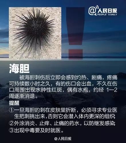 海边遇到，千万别碰！严重可致命！