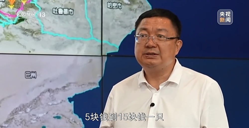 阿勒泰延续千年的夏季转场 如今有了什么新变化？