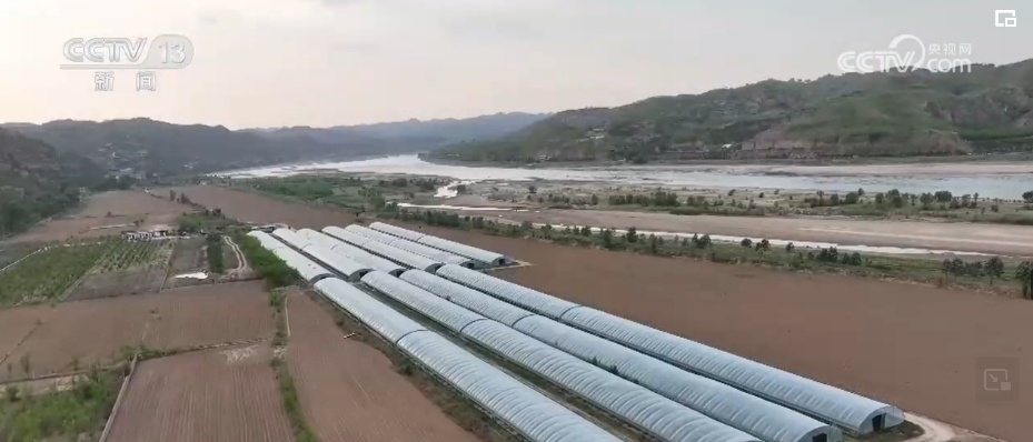 “拴牢”流沙“以绿治黄” 荒漠“生金”绿意浓 “拴牢”流沙“以绿治黄” 荒漠“生金”绿意浓