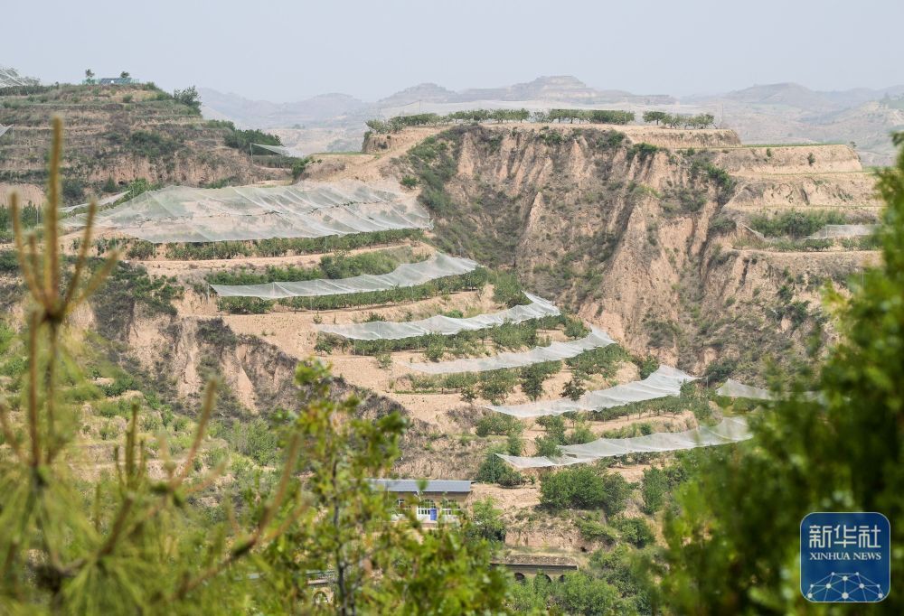 高质量发展调研行｜陕北：持续推进水土生态有效管护
