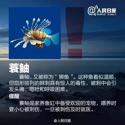 海边遇到，千万别碰！严重可致命！