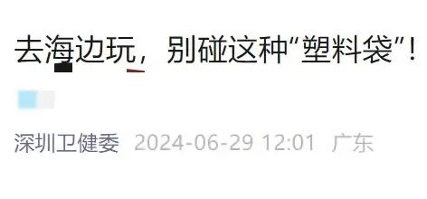海边遇到，千万别碰！严重可致命！