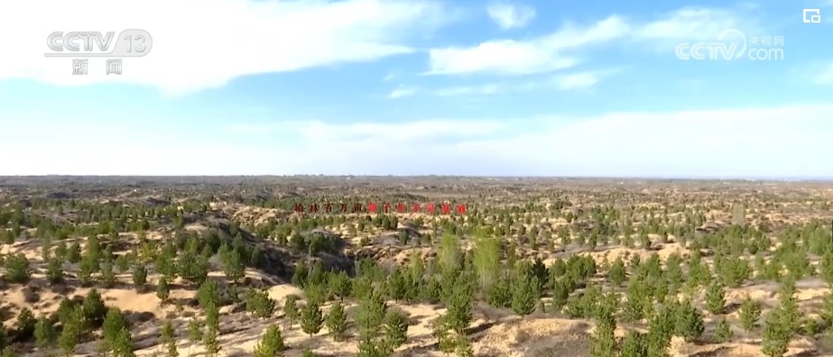 “拴牢”流沙“以绿治黄” 荒漠“生金”绿意浓 “拴牢”流沙“以绿治黄” 荒漠“生金”绿意浓