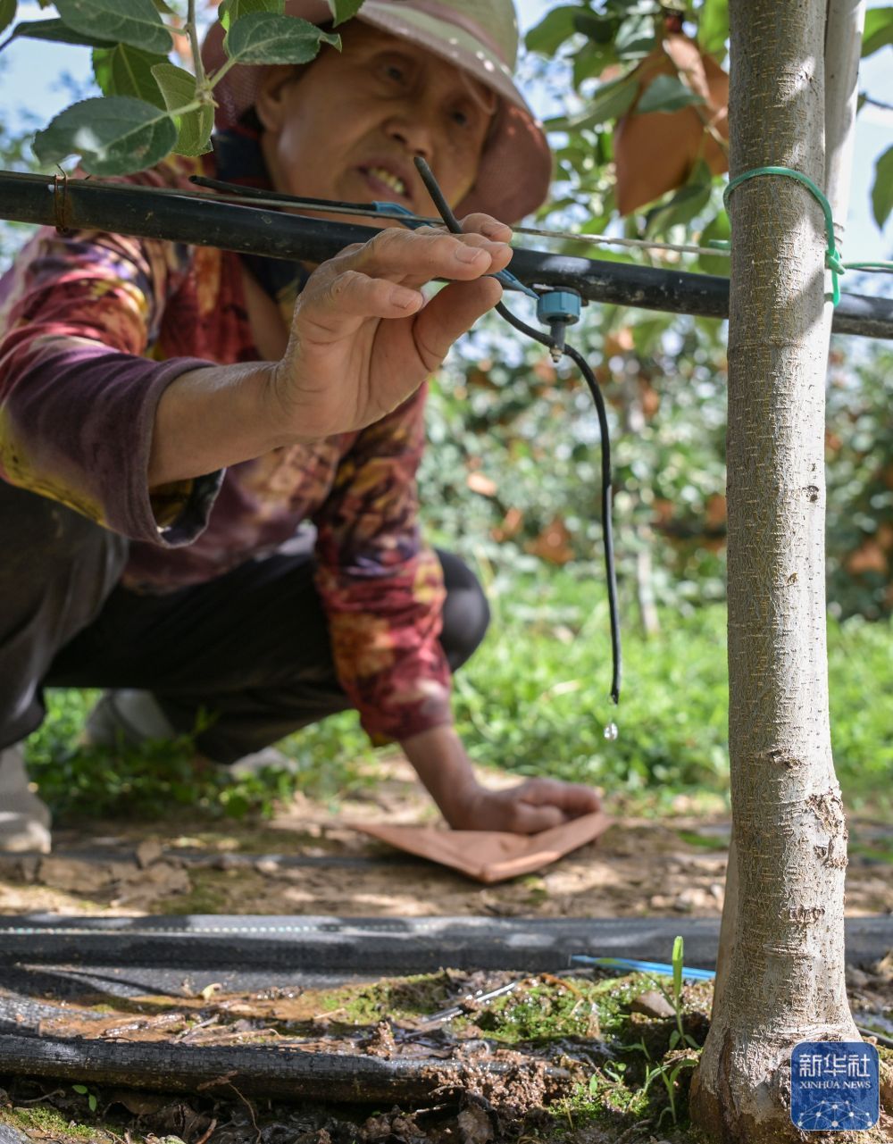 高质量发展调研行｜陕北：持续推进水土生态有效管护