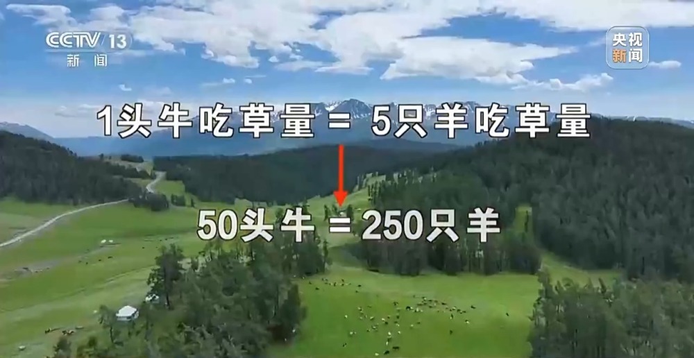 阿勒泰延续千年的夏季转场 如今有了什么新变化？
