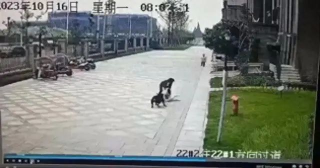 恶犬伤人拟纳入治安处罚！烈性犬都有哪些？