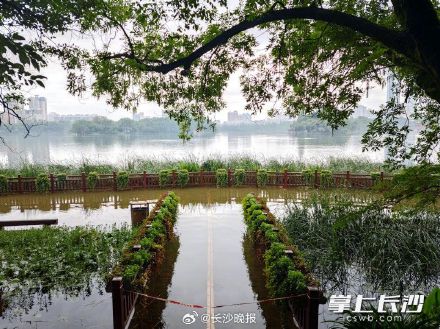 年嘉湖水位上涨拉起警戒线,市民不要靠近临水区域 年嘉湖水位上涨拉起警戒线,市民不要靠近临水区域