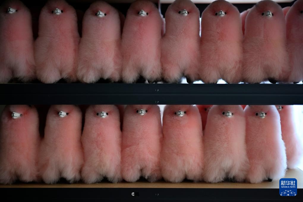 中国市场给秘鲁羊驼制品手工艺人带来更多发展机遇 中国市场给秘鲁羊驼制品手工艺人带来更多发展机遇