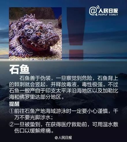海边遇到，千万别碰！严重可致命！