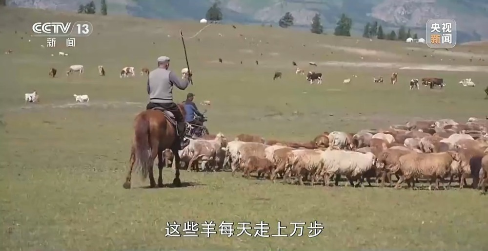 阿勒泰延续千年的夏季转场 如今有了什么新变化？