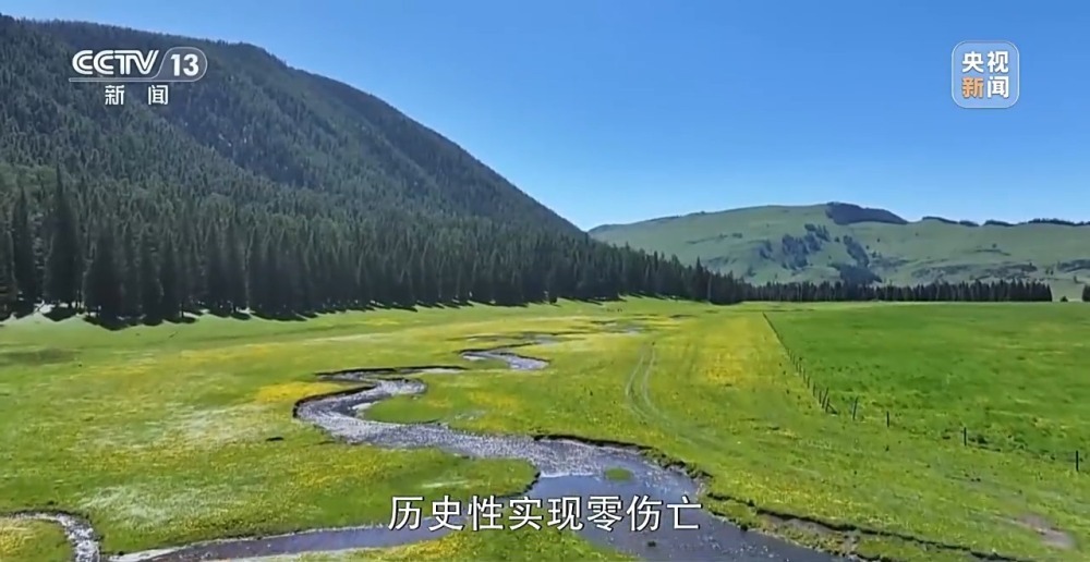 阿勒泰延续千年的夏季转场 如今有了什么新变化？