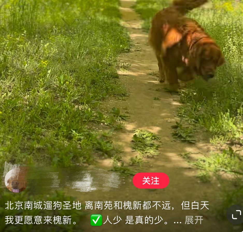 恶犬伤人拟纳入治安处罚！烈性犬都有哪些？