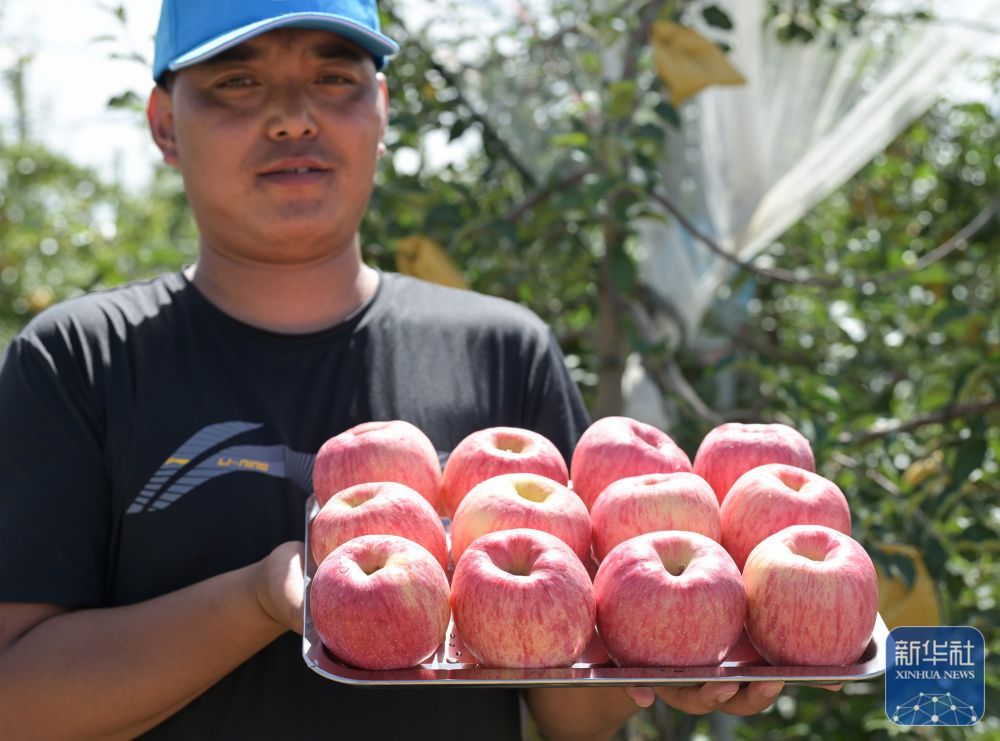高质量发展调研行｜陕北：持续推进水土生态有效管护