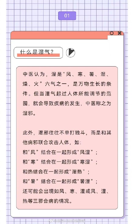为什么夏天湿气重？祛湿吃点什么好？