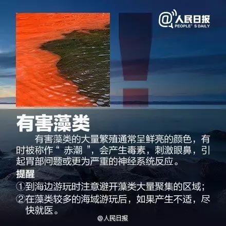 海边遇到，千万别碰！严重可致命！