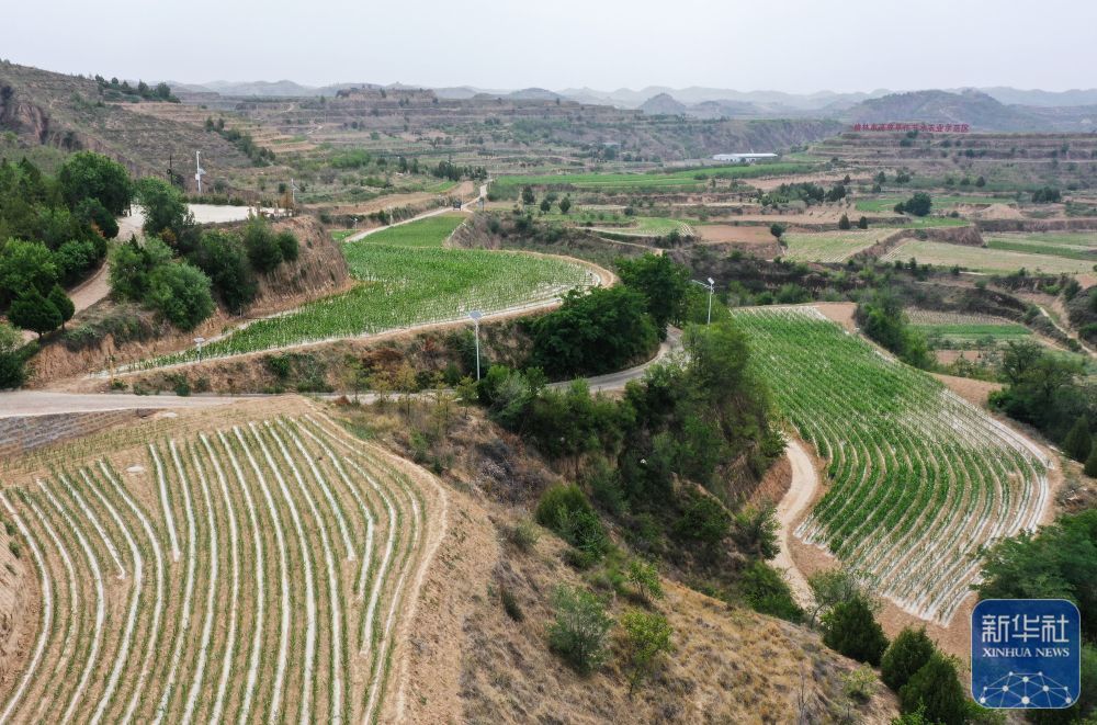 高质量发展调研行｜陕北：持续推进水土生态有效管护
