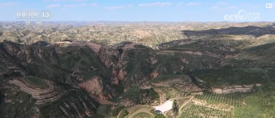 “拴牢”流沙“以绿治黄” 荒漠“生金”绿意浓 “拴牢”流沙“以绿治黄” 荒漠“生金”绿意浓